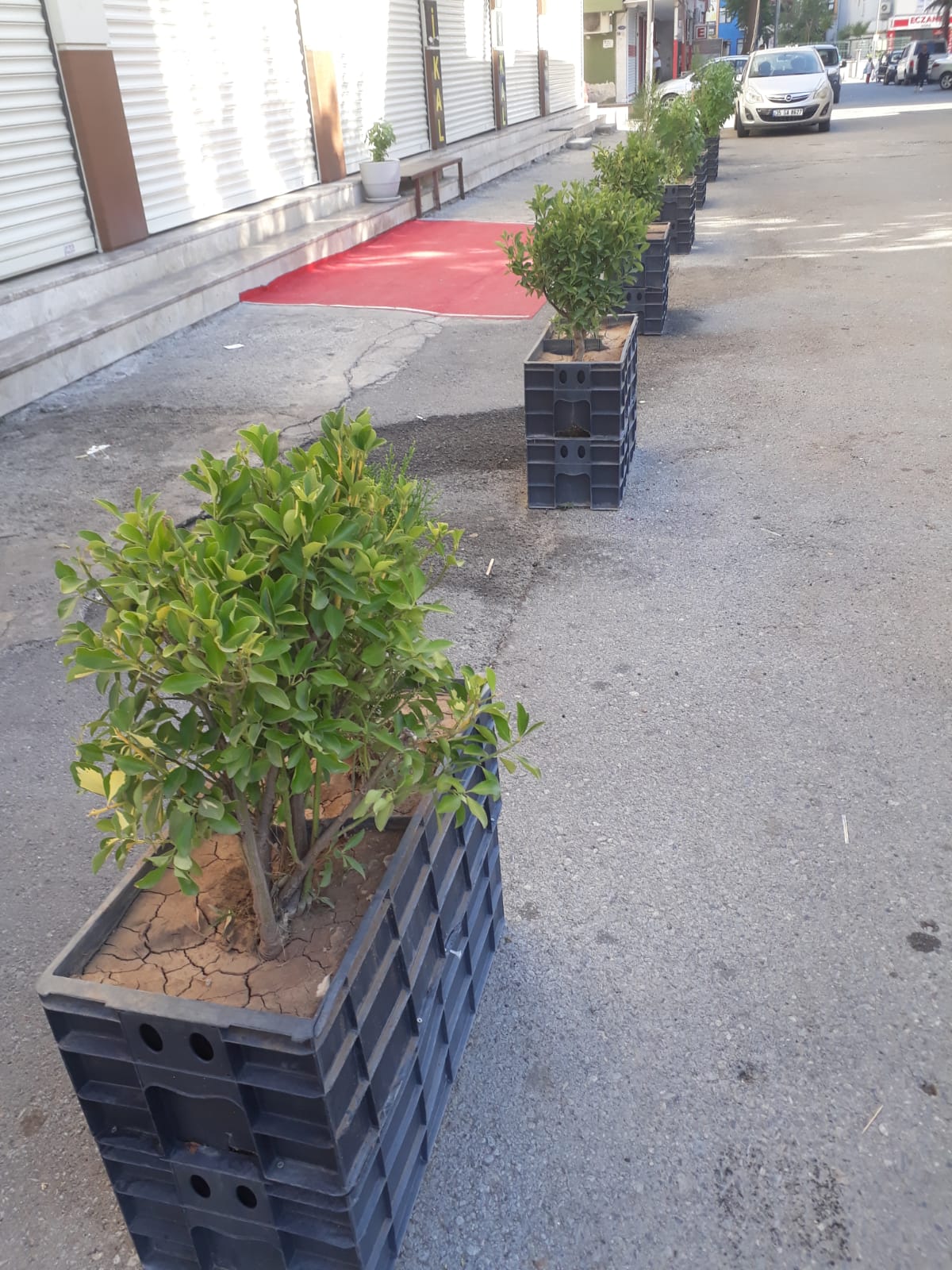 Çevre dostu dubalar