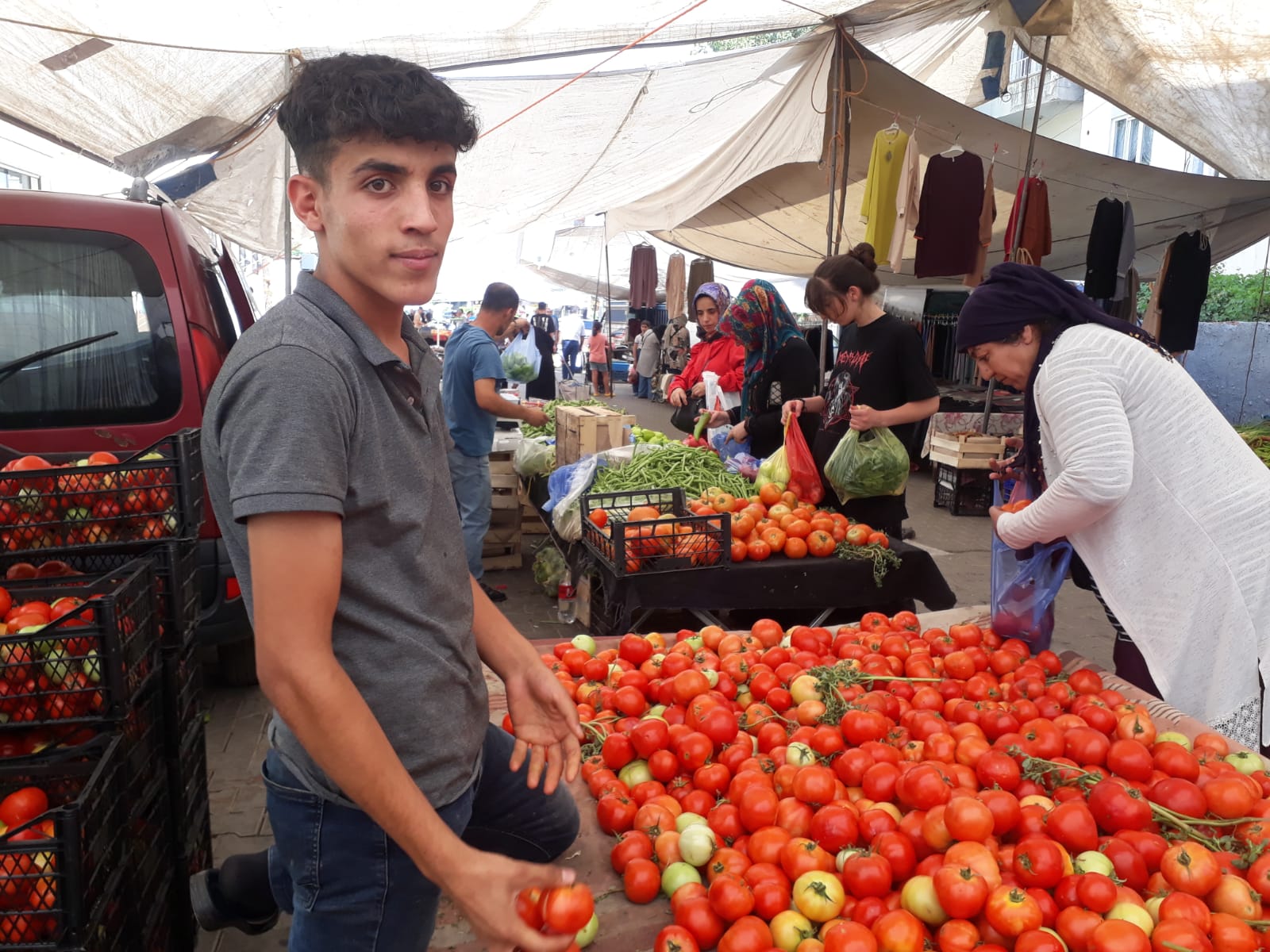 Domates fiyatları sıcağa direnemedi