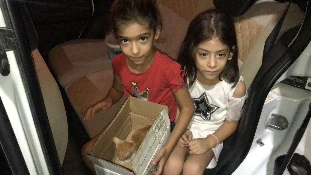 İkizlerin duyarlılığı kediyi hayata bağladı