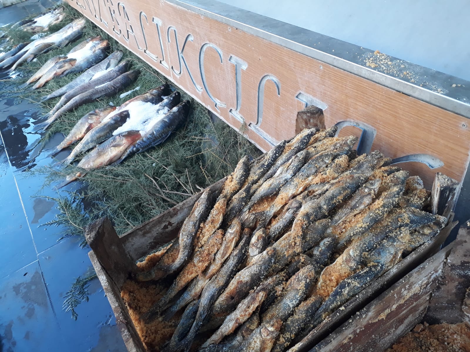 Kurutulmuş balık dönemi