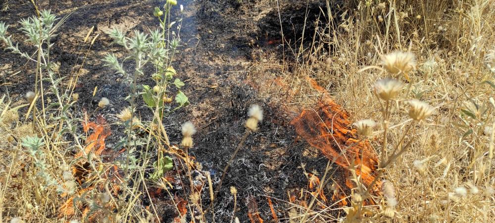 Otları yakmak isterken canından oldu