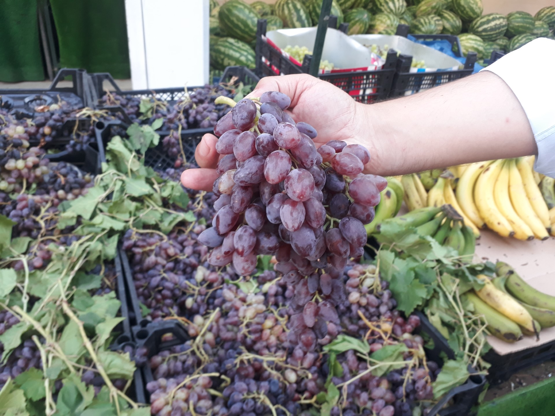 SİİRT’İN MEŞHUR ÜZÜMÜ BATMAN TEZGAHINDA