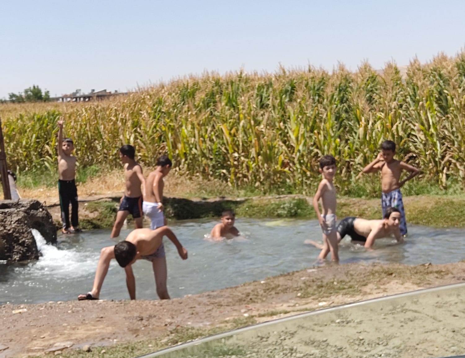 Su göletinde serinlediler