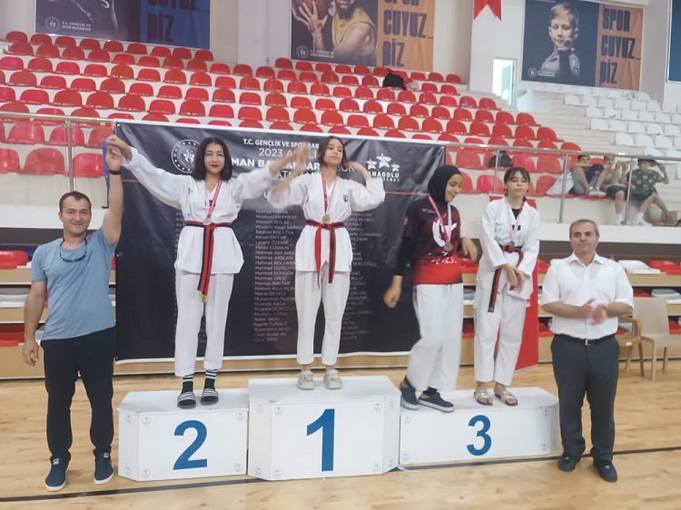Taekwondo şampiyonası sona erdi
