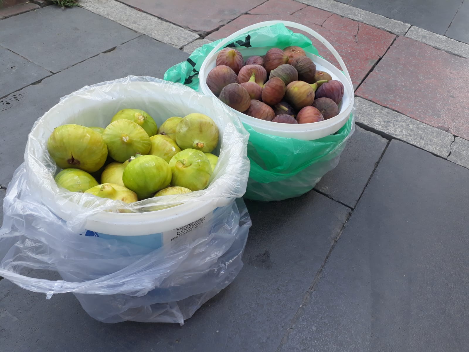 Bahçeden incir toplayıp çarşıda satıyor