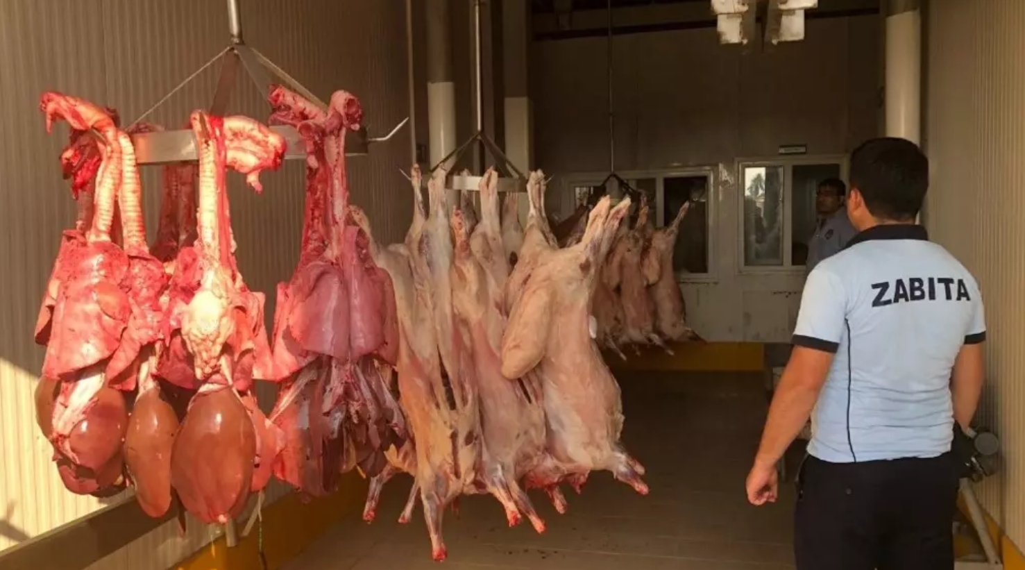 Kaçak et kesimine geçit verilmeyecek