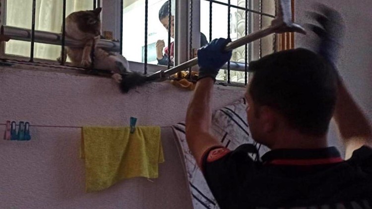 Korkuluklara sıkışan kedi kurtarıldı