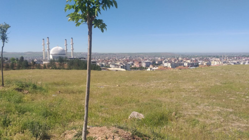 ‘Devlet Mahallesini’ almak istedi!