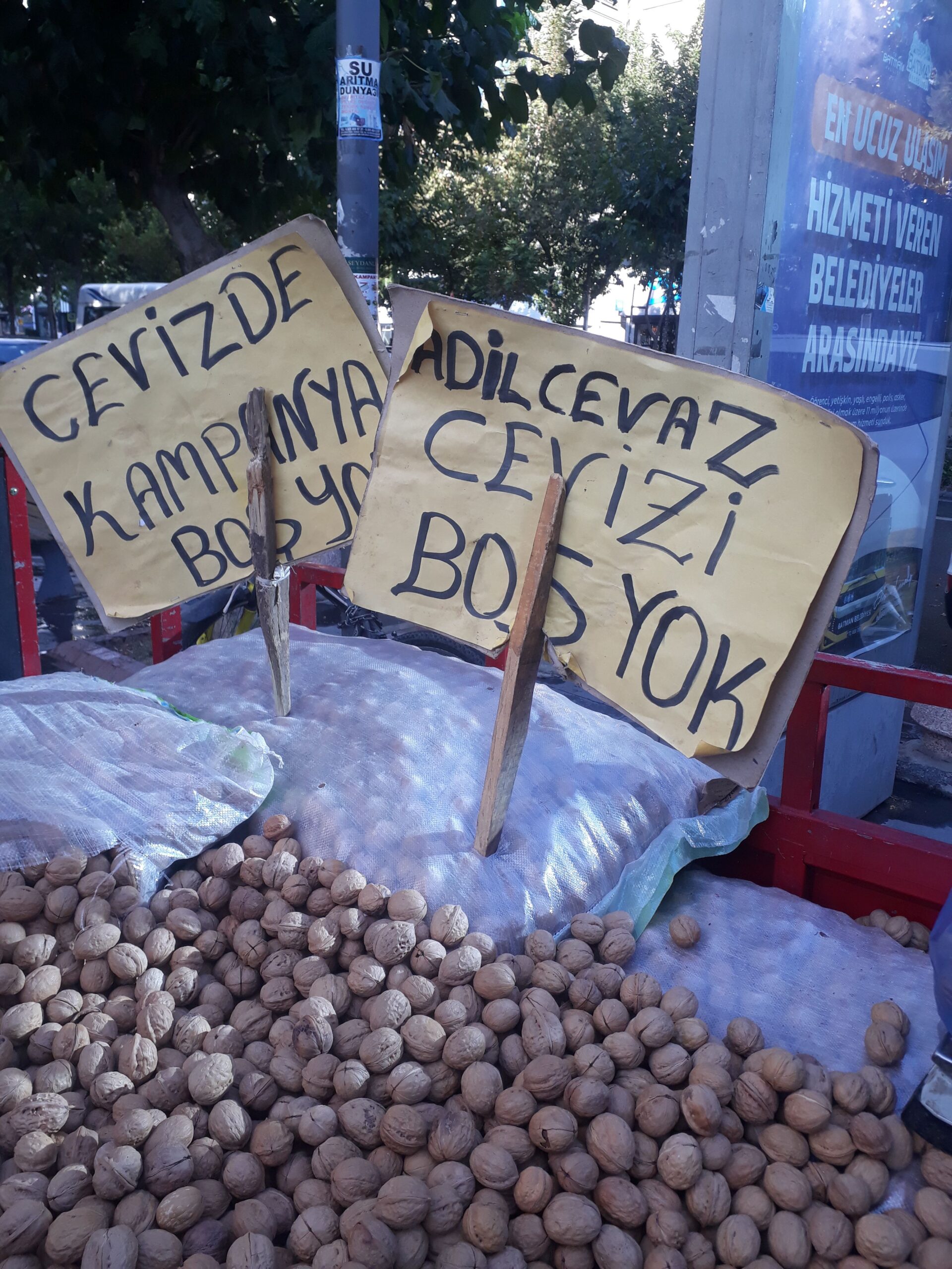 “Günde 3-4 ton ceviz satıyorum”