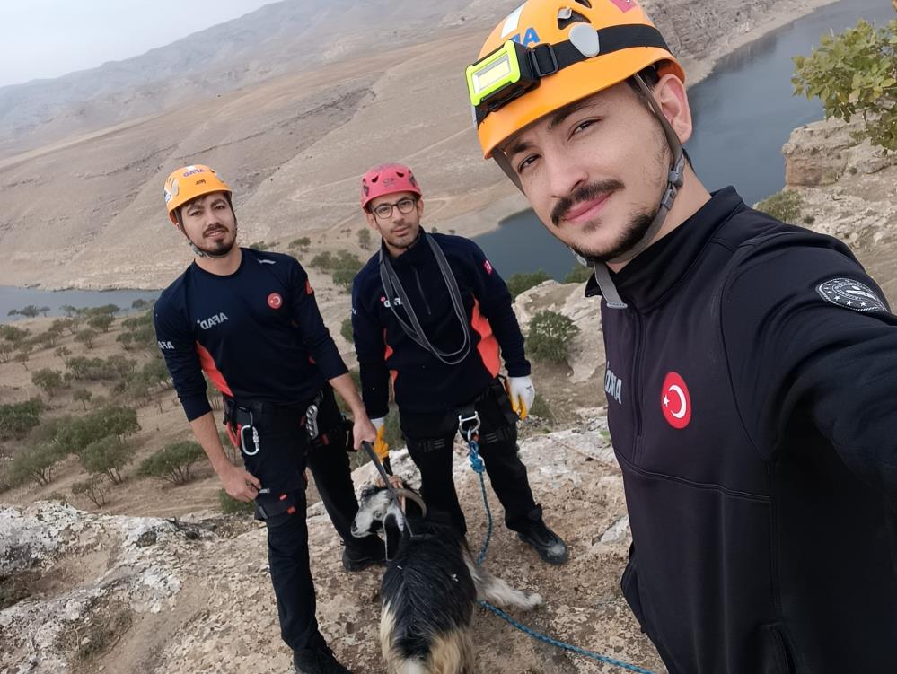 Keçiler için seferber oldular