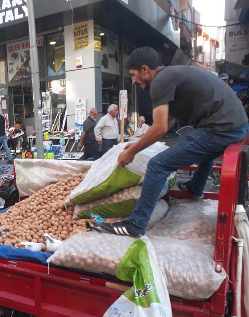 Maraş cevizlerine yoğun ilgi