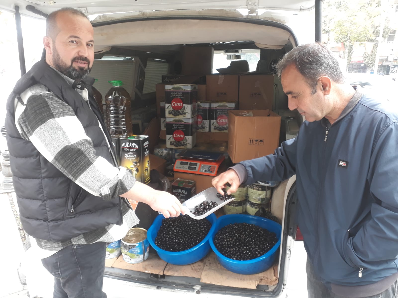 Aydın Nazilli zeytinleri Batman’da