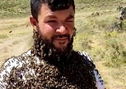 Bin kovan arısı selde telef oldu
