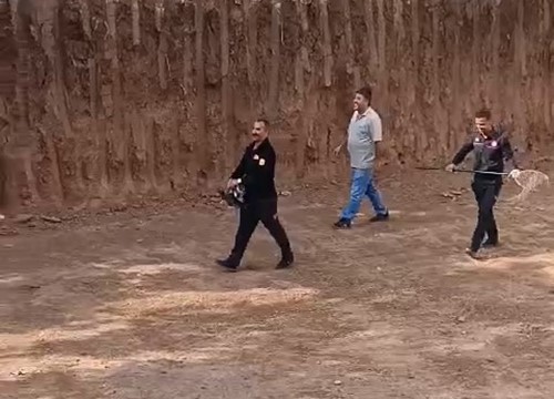 İtfaiye ekiplerinden ‘tavuk kurtarma’ operasyonu