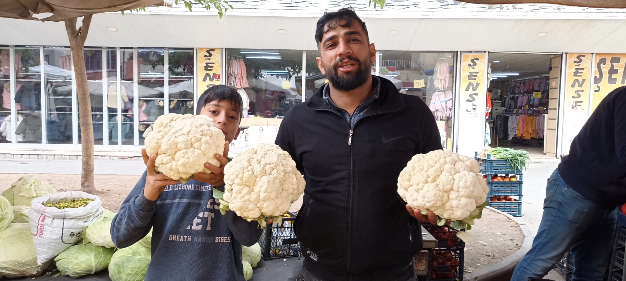 Karnabahar ve lahanalara ilgi