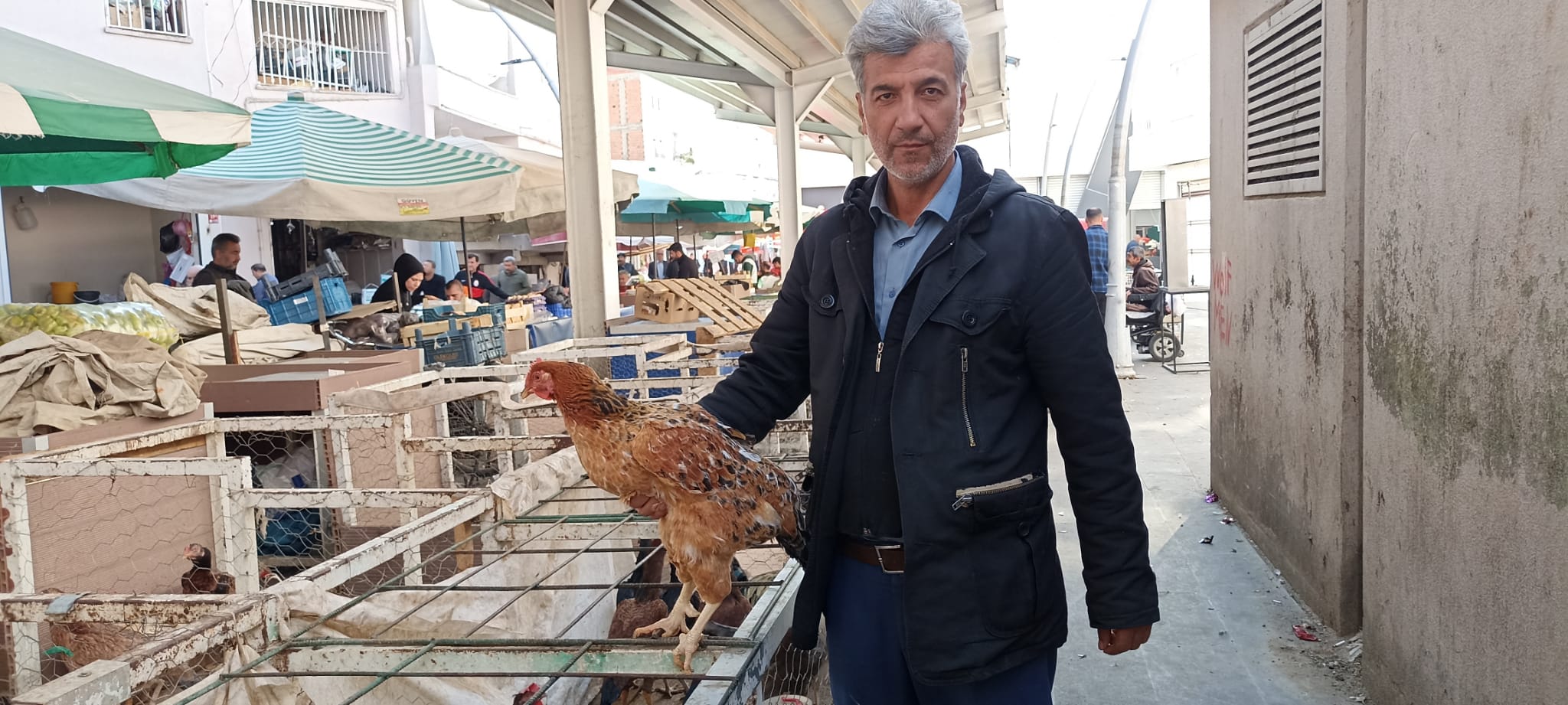 Köy tavuklarına ilgi artıyor