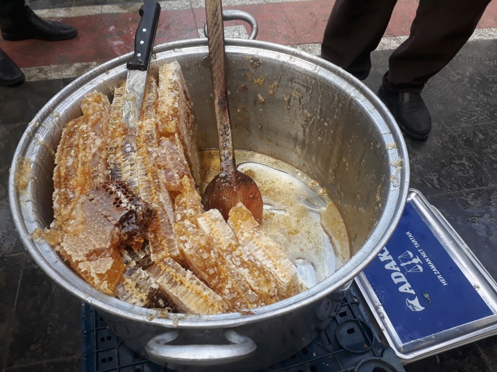 Kozluk balına yoğun ilgi