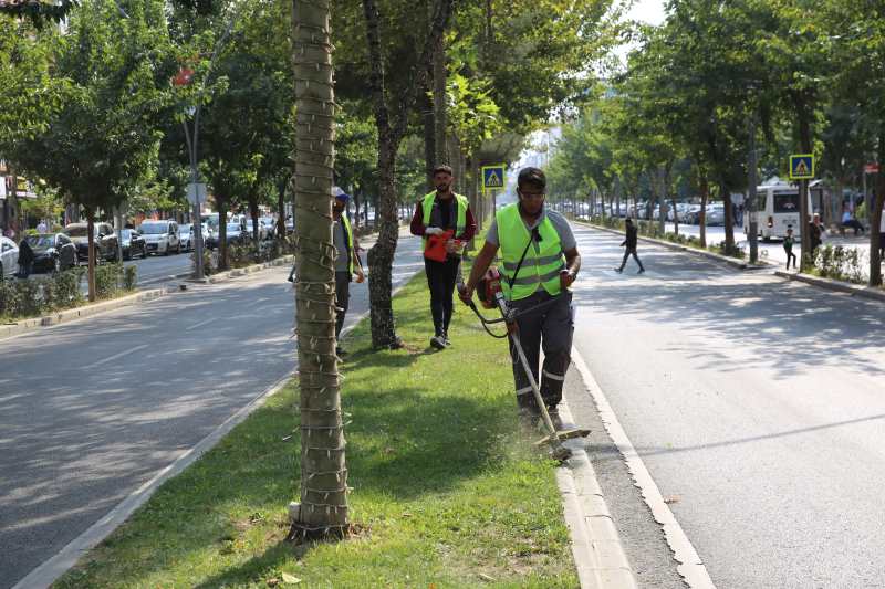 YEŞİL ALANLAR BAKIMDAN GEÇİRİLİYOR