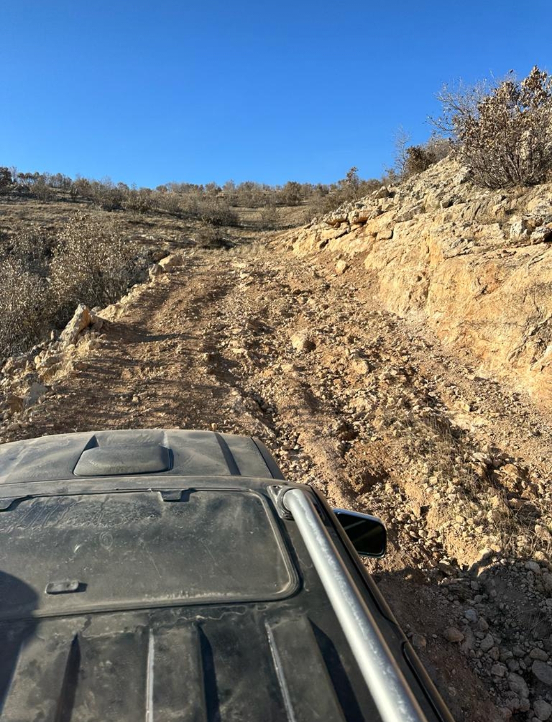 “Hastalarımızı at sırtında taşımak istemiyoruz”