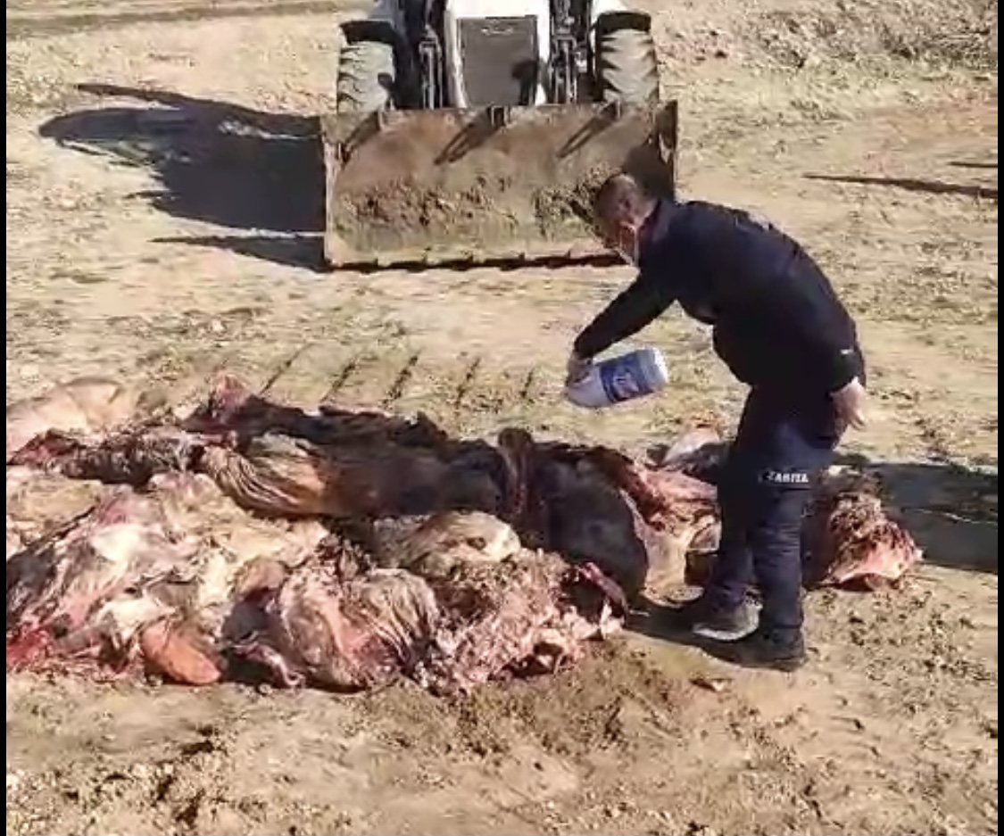 Kaçak et operasyonu