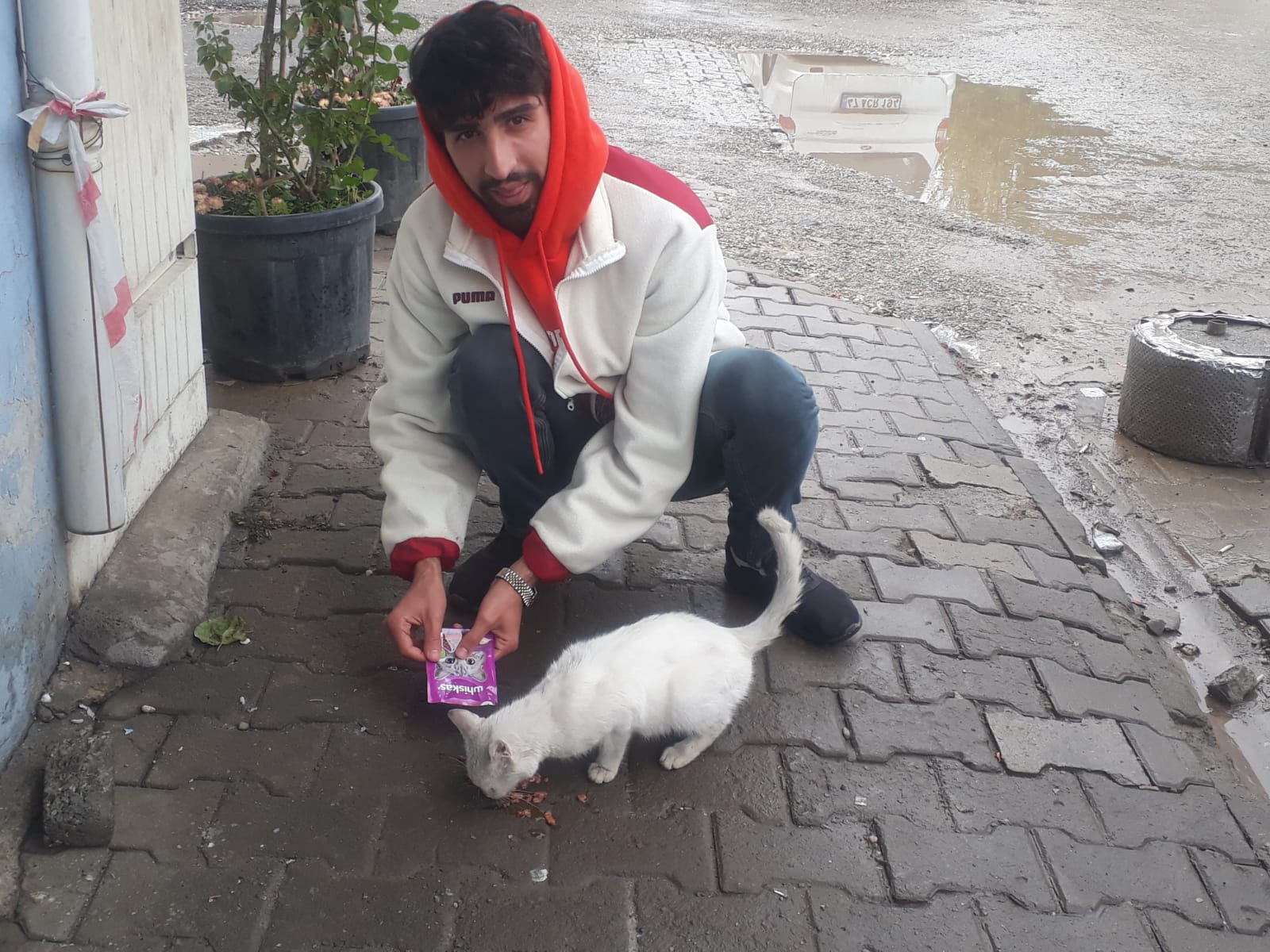 Kediyi elleriyle besliyor