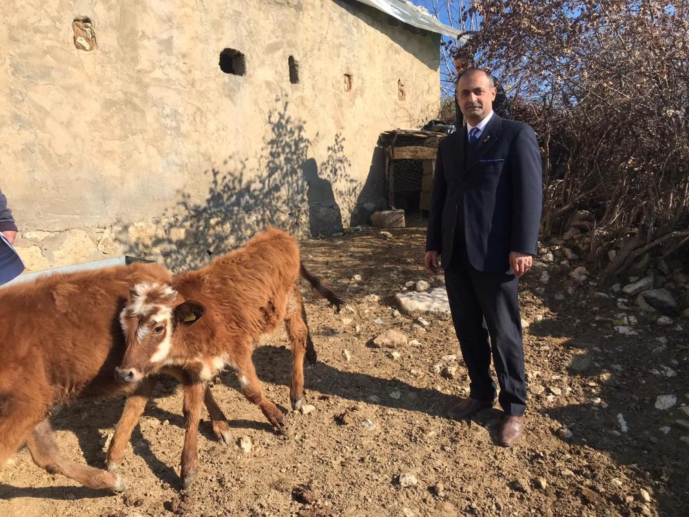 Sığır başına 4 bin destek verilecek