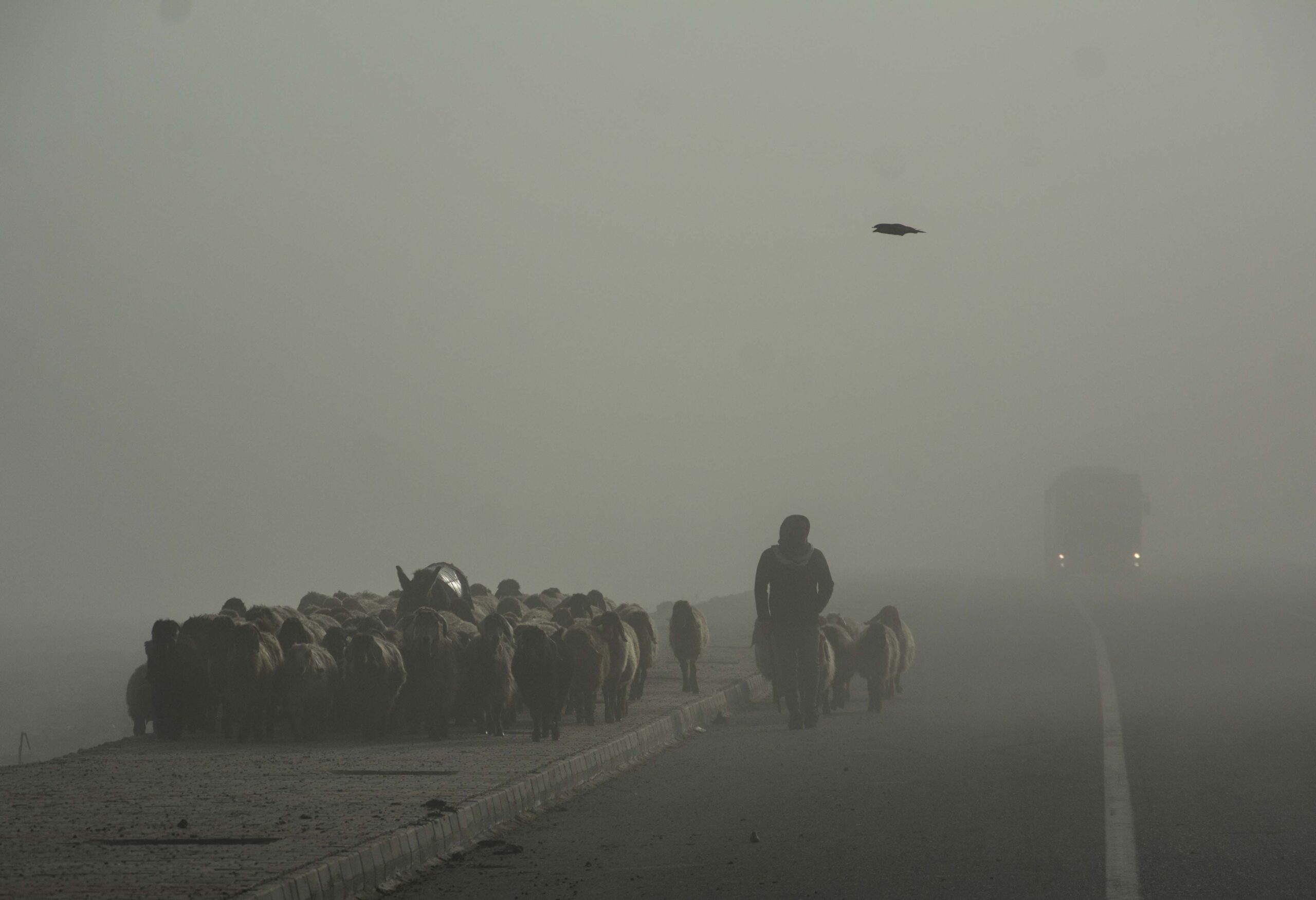 Sis fotoğraflarını kadrajladı