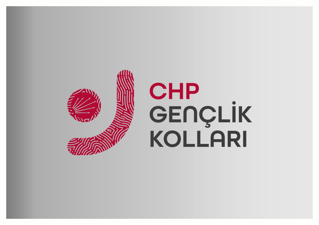 CHP Gençlik Kolları Başkanı İnsel istifa etti