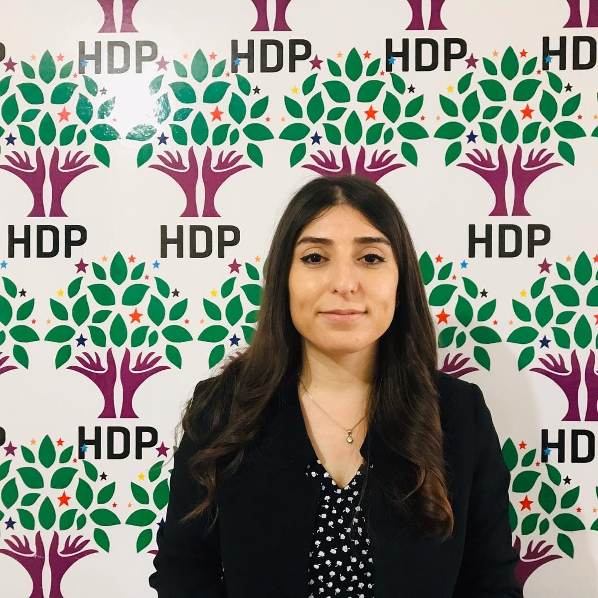 DEM Parti’den başvurusunu yaptı