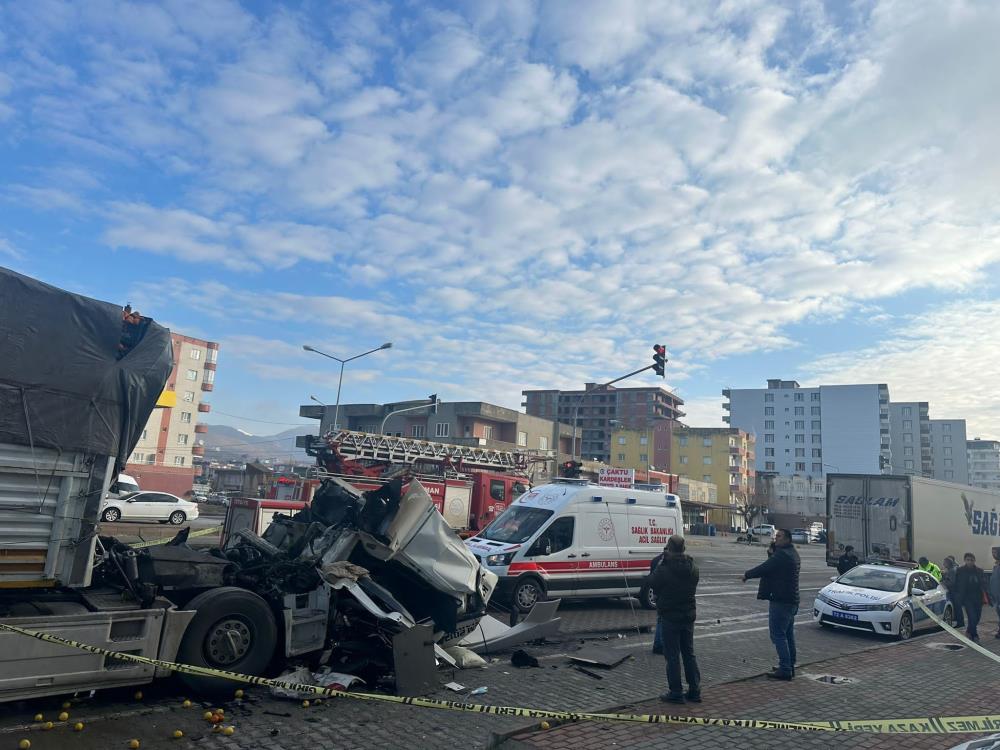 İki tır çarpıştı