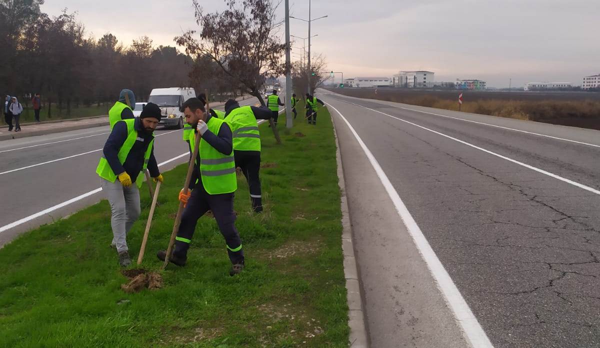 Kuzey çevre yolu yeşillendiriliyor