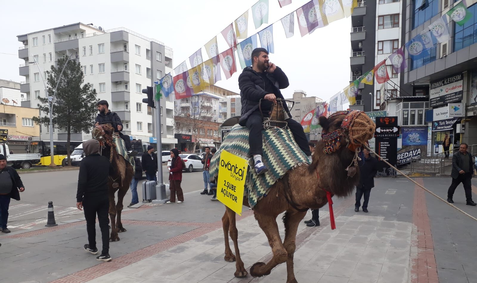 Tanıtımı deve ve midilli ile yaptılar