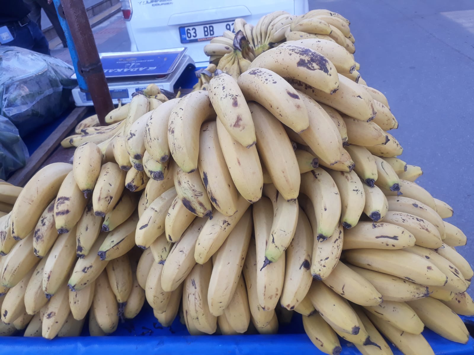 “Batman’ın tüm muzları Anamur’dan”