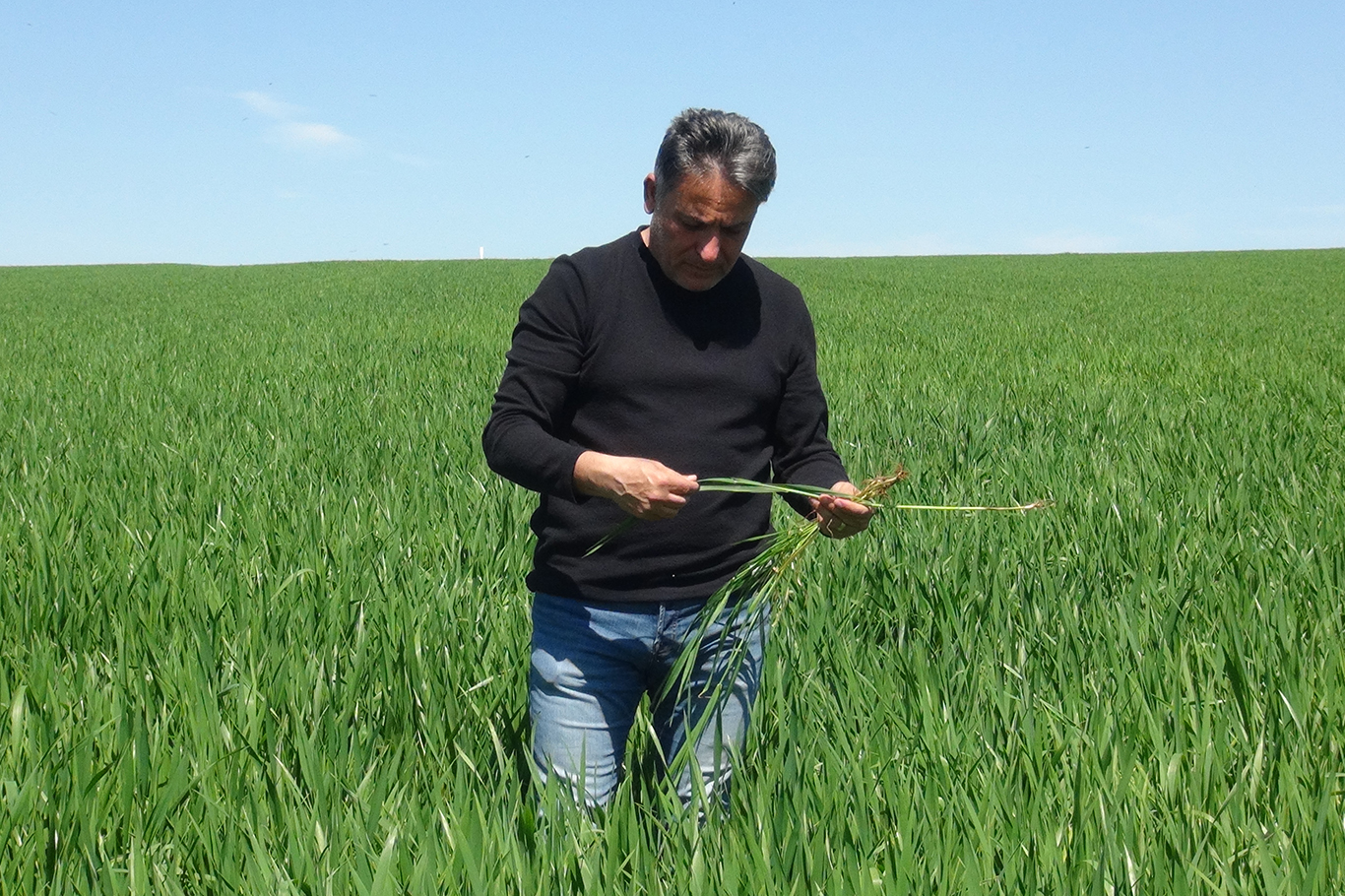 “Hububatta iyi bir rekolte bekliyoruz”