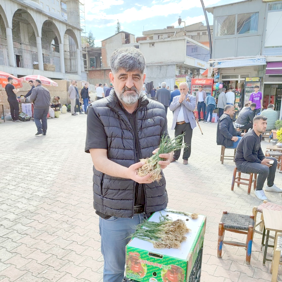 Kilosu 2 bin 400 liradan satılıyor