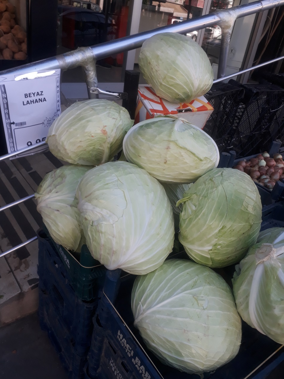 Midenin doğal ilacı 10 lira