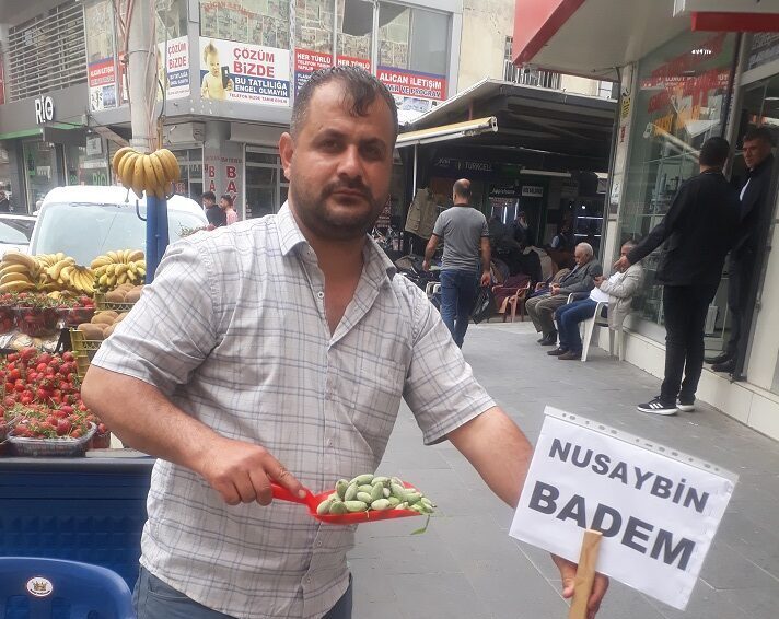 Nusaybin bademleri kapış kapış