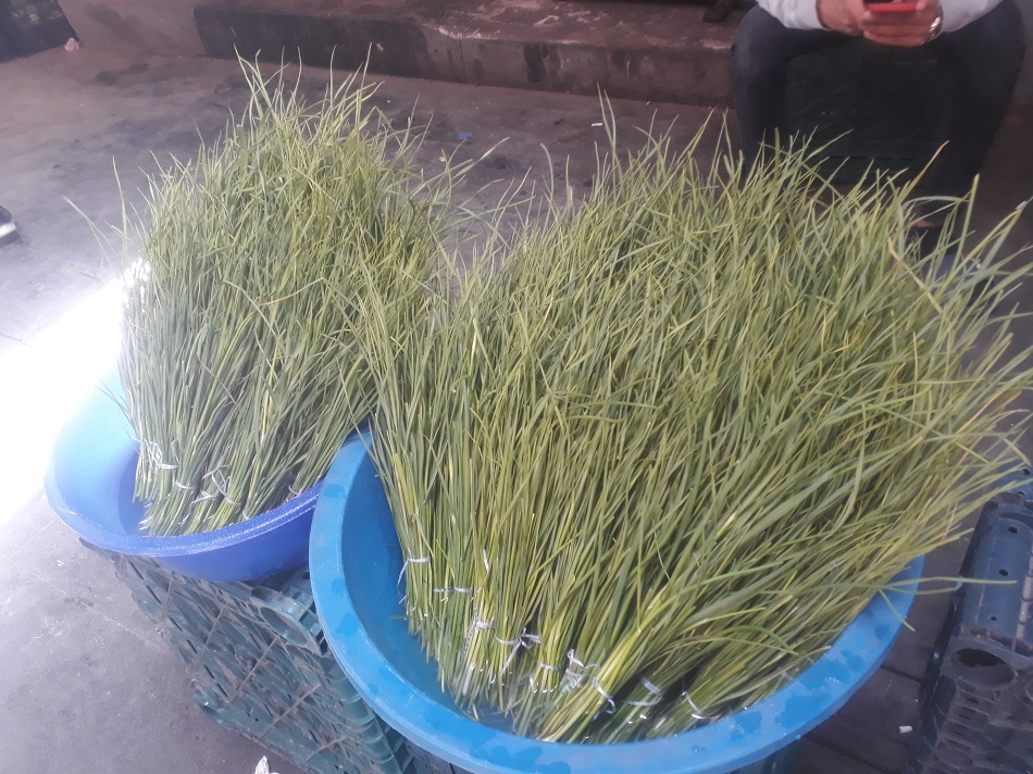Peynir otu 5 lira