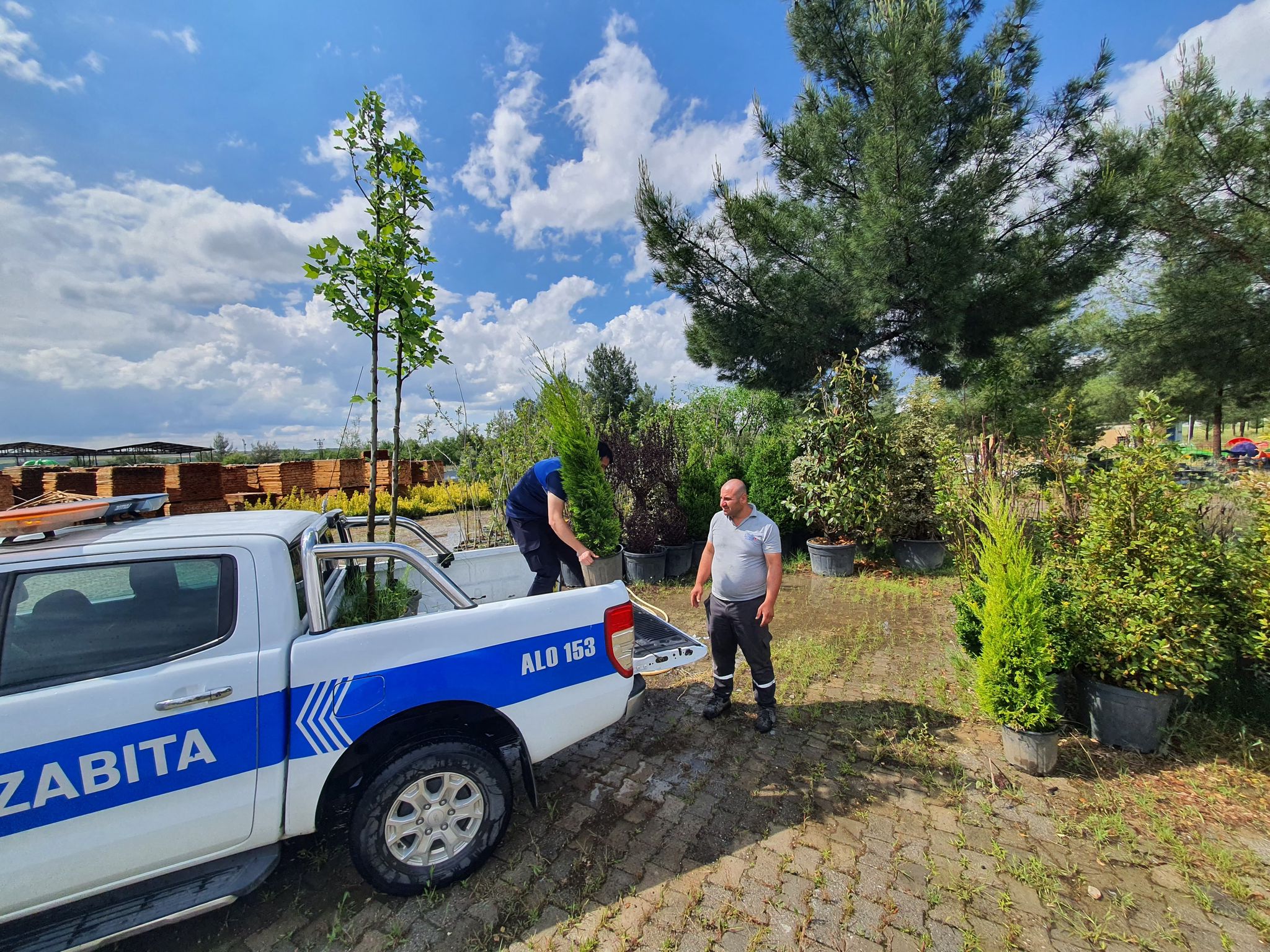 Ağaç kesen esnafa farklı ceza