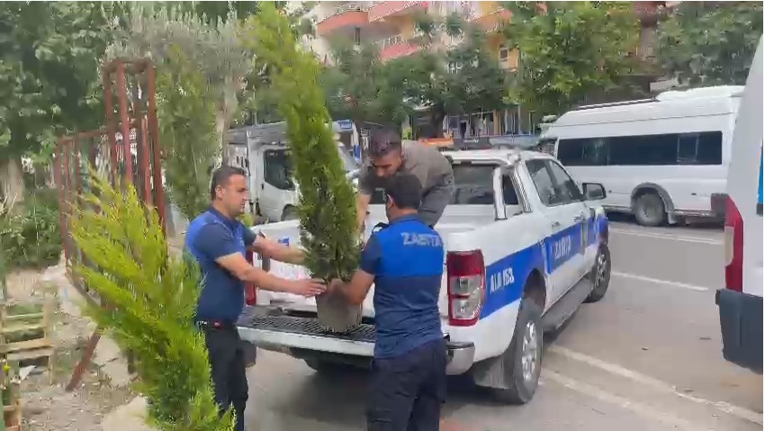 Ağaç kesenlere hibe cezası