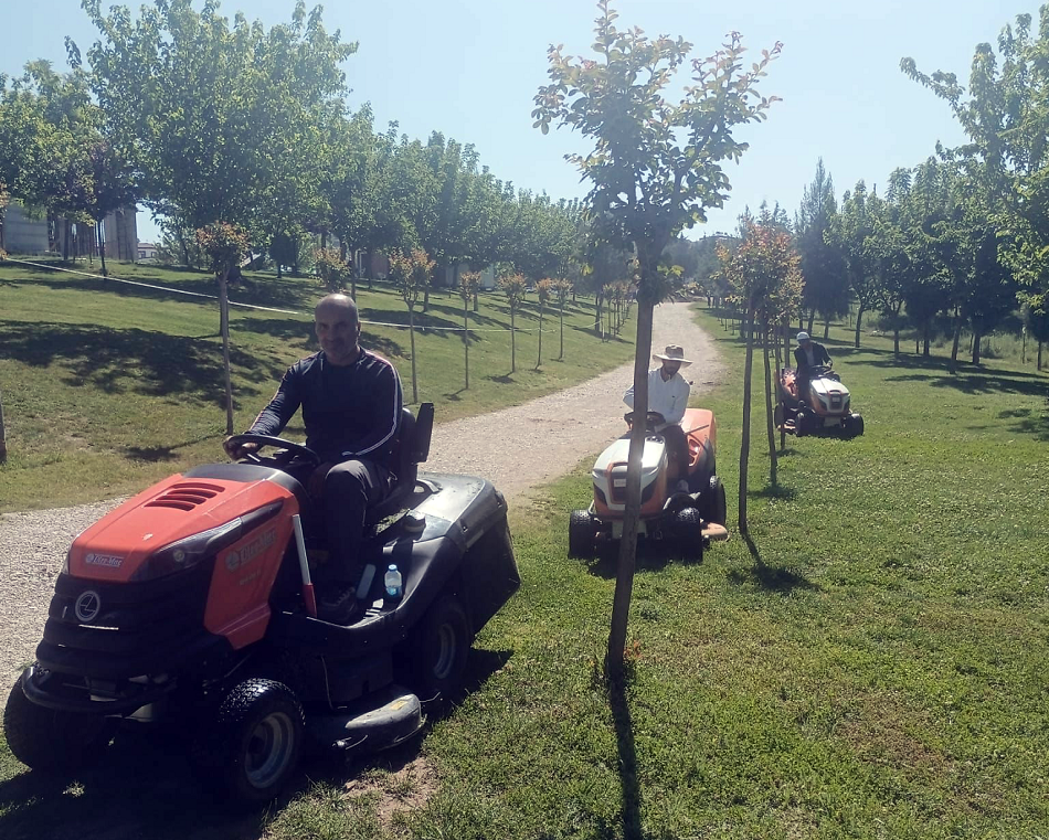 “Batman’ı çiçek gibi yapacağız”