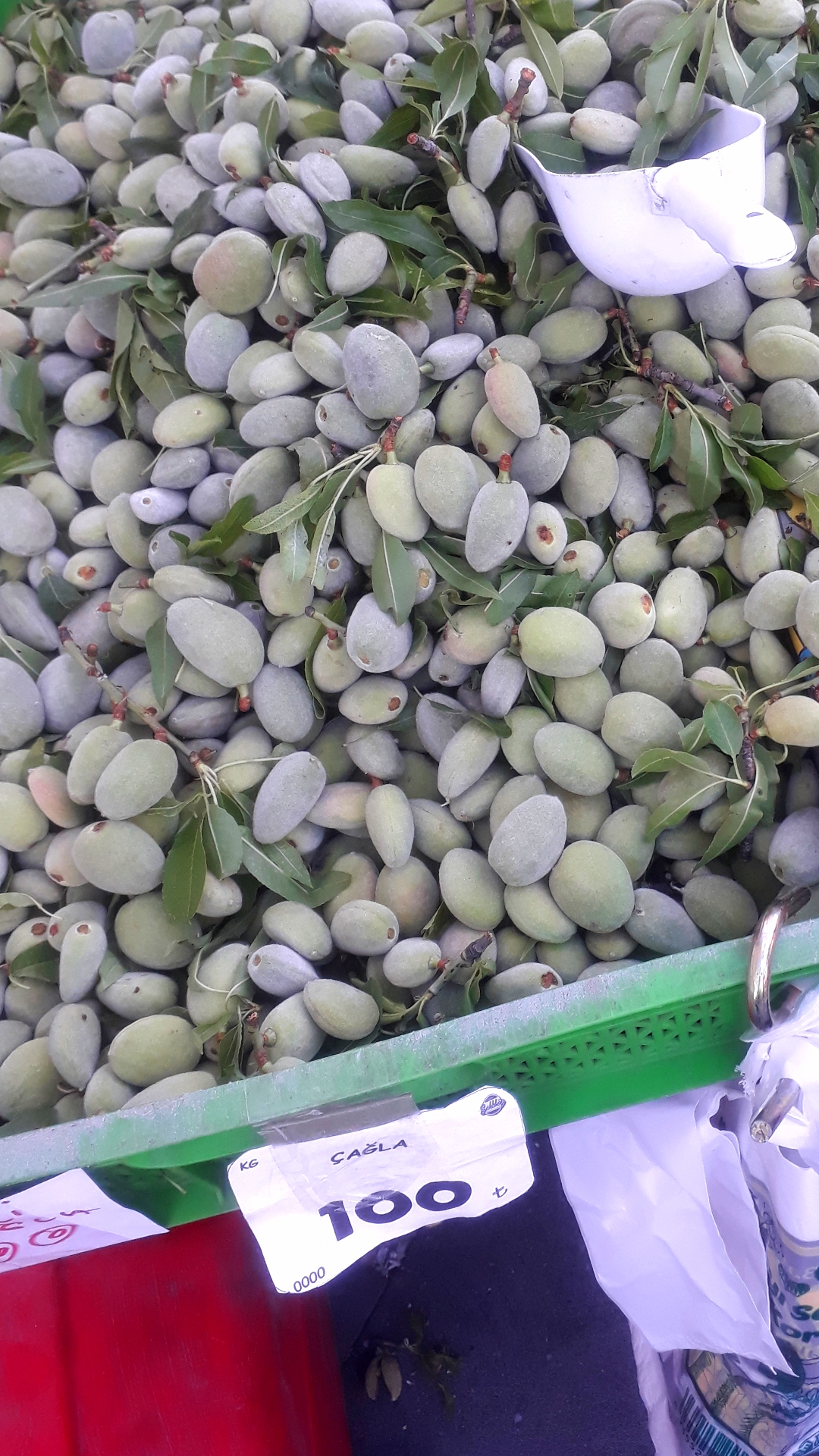 Çağla bademde ‘gram’ dönemi