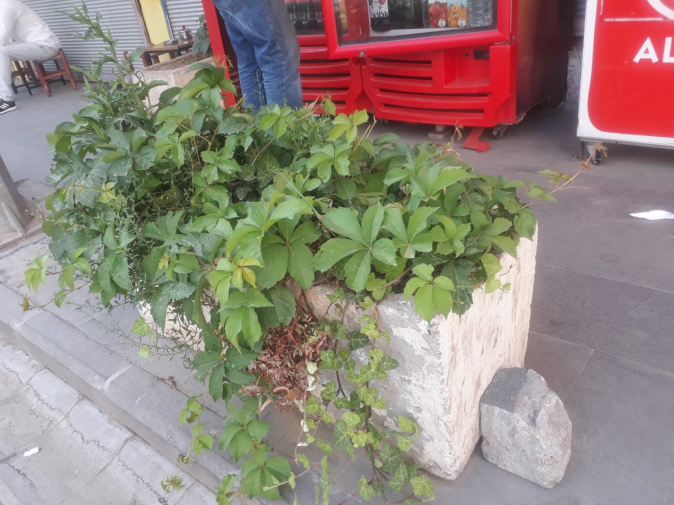 Çevre dostu dubalar