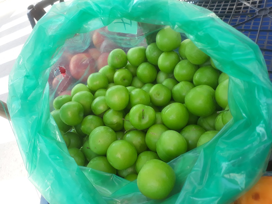 Erik fiyatlarında düşüş sürüyor