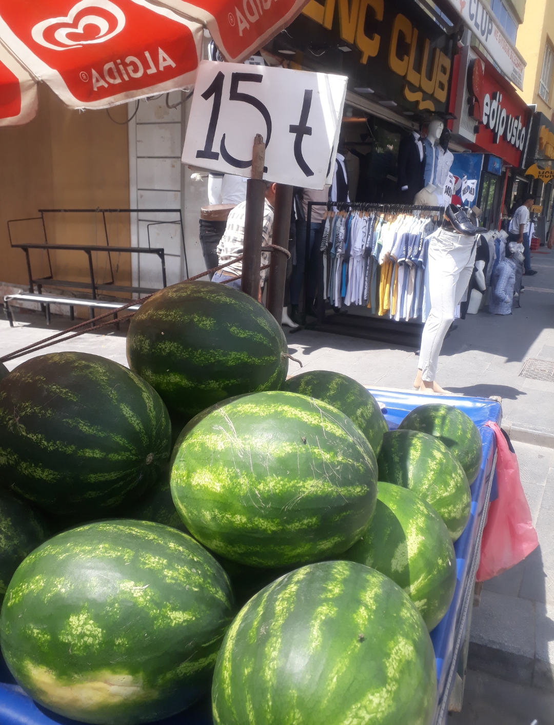 Karpuzlar boy göstermeye başladı