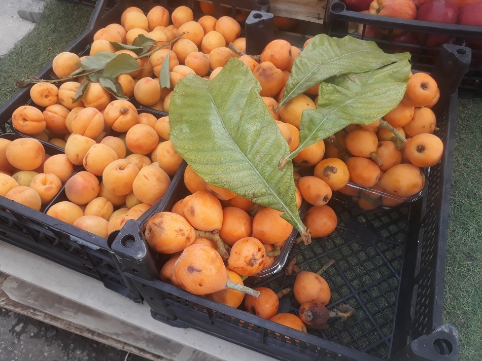 Kayısı ve yenidünyaya aynı tarife