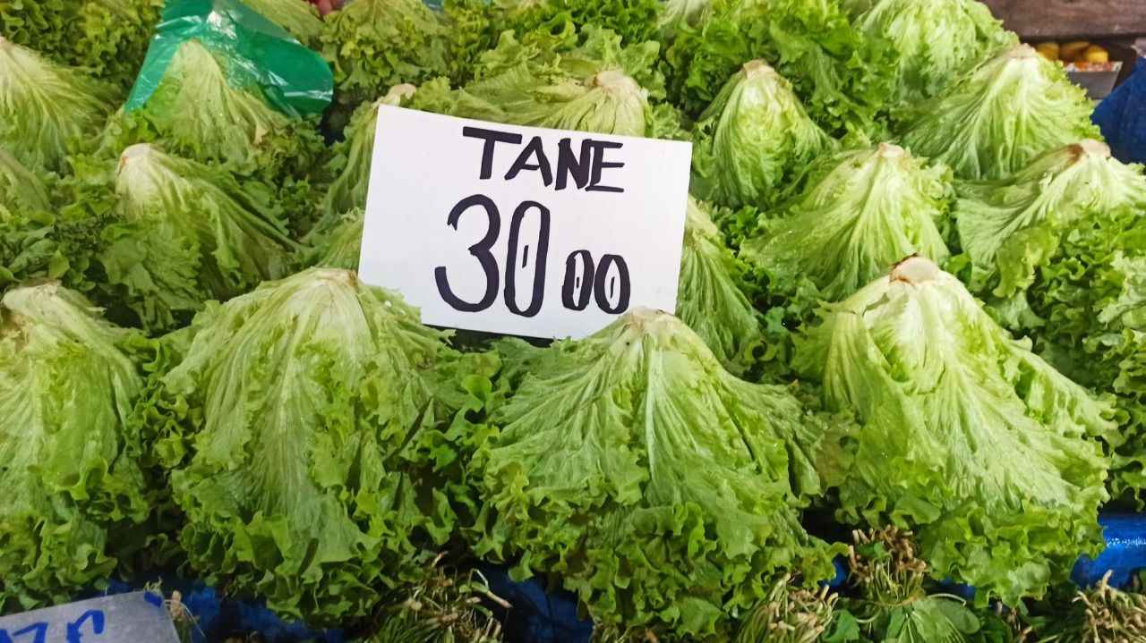 Marul fiyatı 30 lirayı buldu