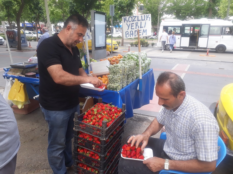 Sason çileği kapış kapış