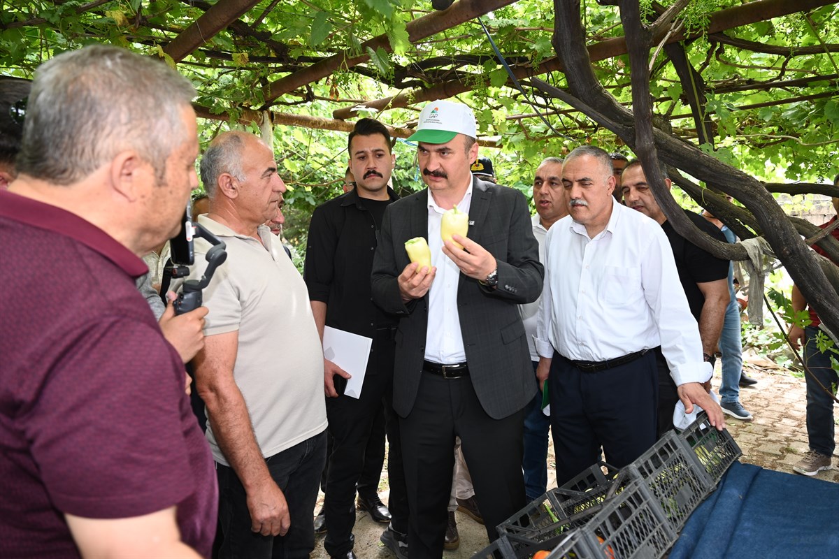 “Sera kentler kuracağız”