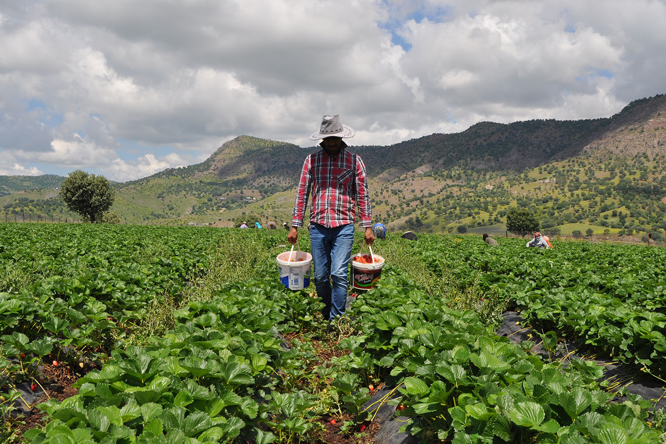 YAĞIŞ ‘ÇİLEĞİ’ VURDU!